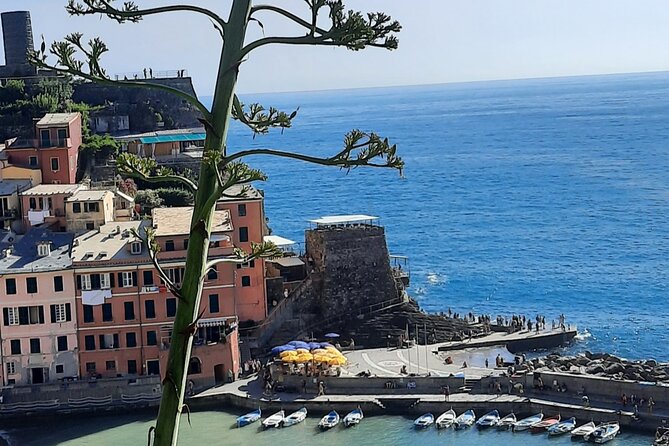 Cinque Terre Semi-Private Day Tour From Montecatini Terme - Itinerary and Activities
