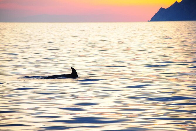 Cinque Terre Sunset Cruise With Aperitif - Booking and Cancellation Policies