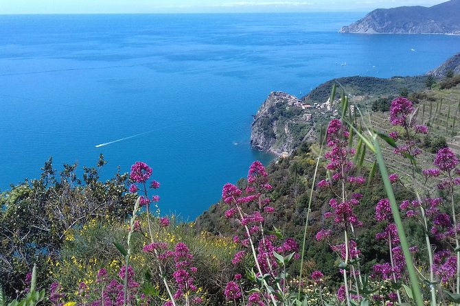 Cinque Terre Unforgettable Hiking Experience - Key Points