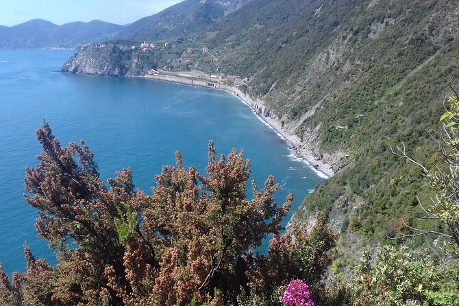Cinque Terre Unforgettable Hiking Experience - Exploring Colorful Coastal Towns