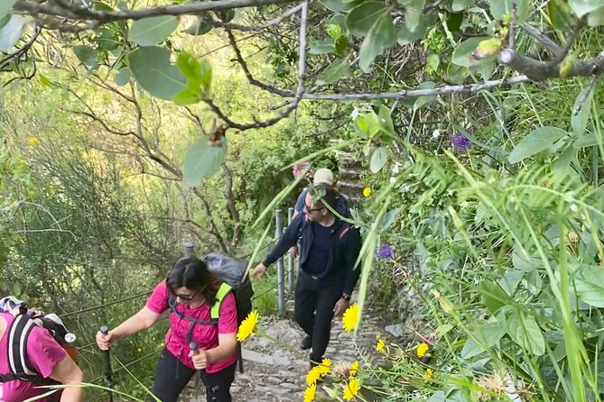 Cinque Terre Unforgettable Hiking Experience - Moderate Fitness Level Required