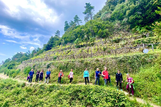 Cinque Terre Unforgettable Hiking Experience - Train Tickets and Pricing Details