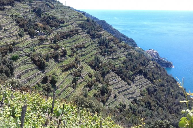 Cinque Terre Unforgettable Hiking Experience - Meeting Point and Pickup Information