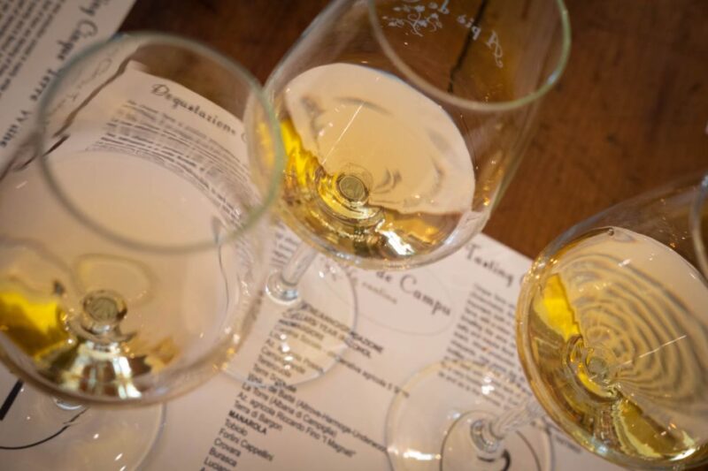 Cinque Terre: Wine Tasting and Walking Tour - Tasting Details