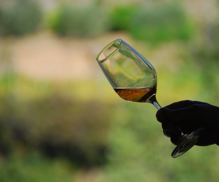 Cinque Terre: Wine Tasting in Monterosso - Key Points
