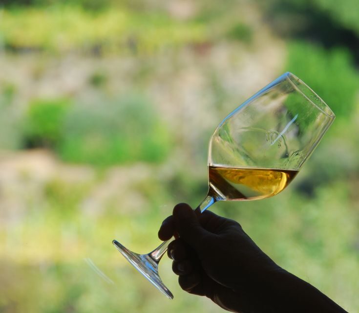 Cinque Terre: Wine Tasting in Monterosso - Since Your Asked