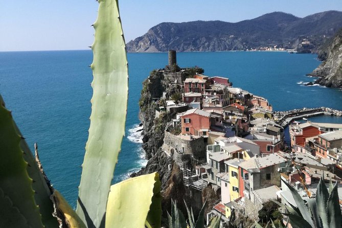 Cinque Terre With Vernazza Manarola and Corniglia From Livorno Cruise Port - Inclusions