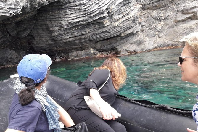 Cinque Terre With Vernazza Manarola and Corniglia Fullday From Florence - Accessibility