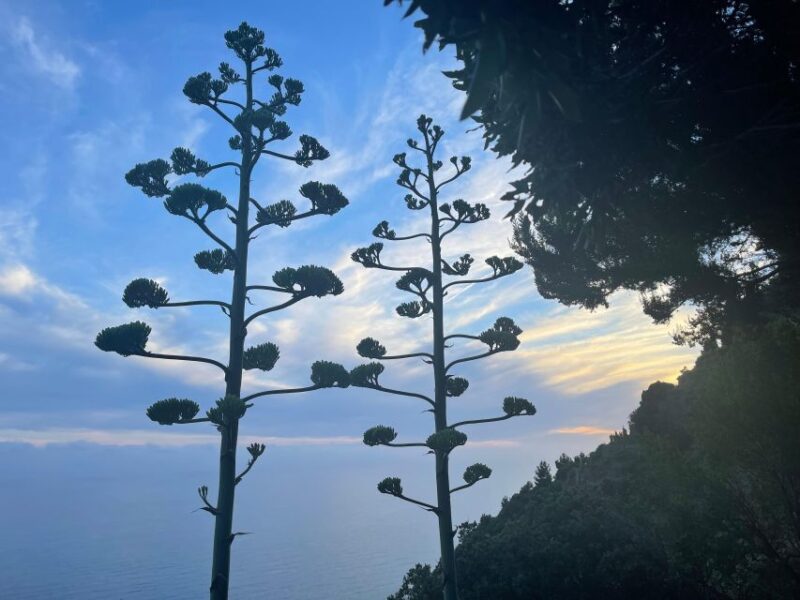 Cinqueterre Experience - Included and Excluded