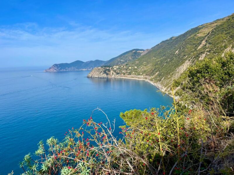 Cinqueterre Experience - Customer Feedback