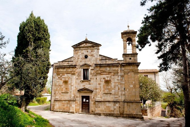 Cinta Senese Farmhouse Tour With Light Lunch in Montepulciano - Cinta Senese Pigs