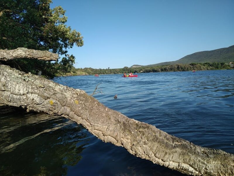 Circeo National Park:Guided Kayak Tour on the Lake Sabaudia - Overview of the Guided Kayak Tour