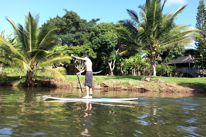 Circle Island North Shore Adventure Tour + Snorkeling - Positive Reviews
