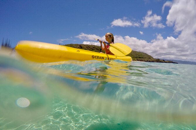 Circle Island North Shore Adventure Tour + Snorkeling - Exceptional Tour Guides