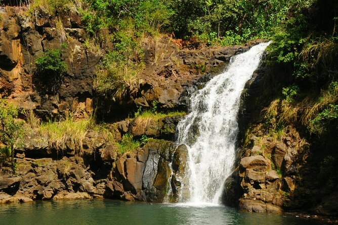 Circle Island Tour With Waimea Waterfall - Customer Reviews