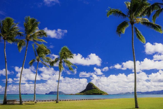 Circle Island Tour With Waimea Waterfall - Waimea Waterfall Experience