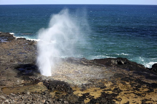 Circle Island Tour With Waimea Waterfall - Accessibility and Logistics