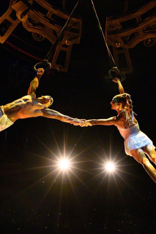 Circo Del Sol Joyà: Tickets - Important Information