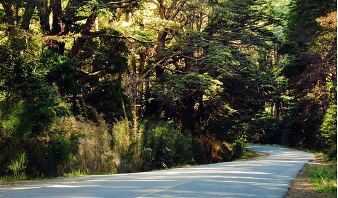 Circuito Chico Excursion in Bariloche (Short Circuit) - Exploring Nahuel Huapi Lake