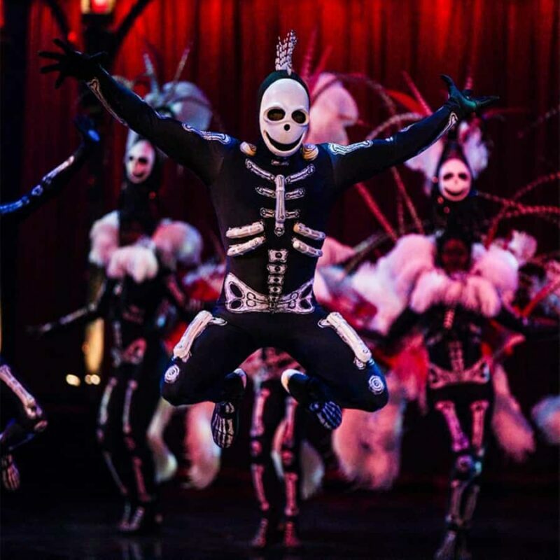 Cirque du Soleil KOOZA Show Ticket - What Makes KOOZA in Singapore Special
