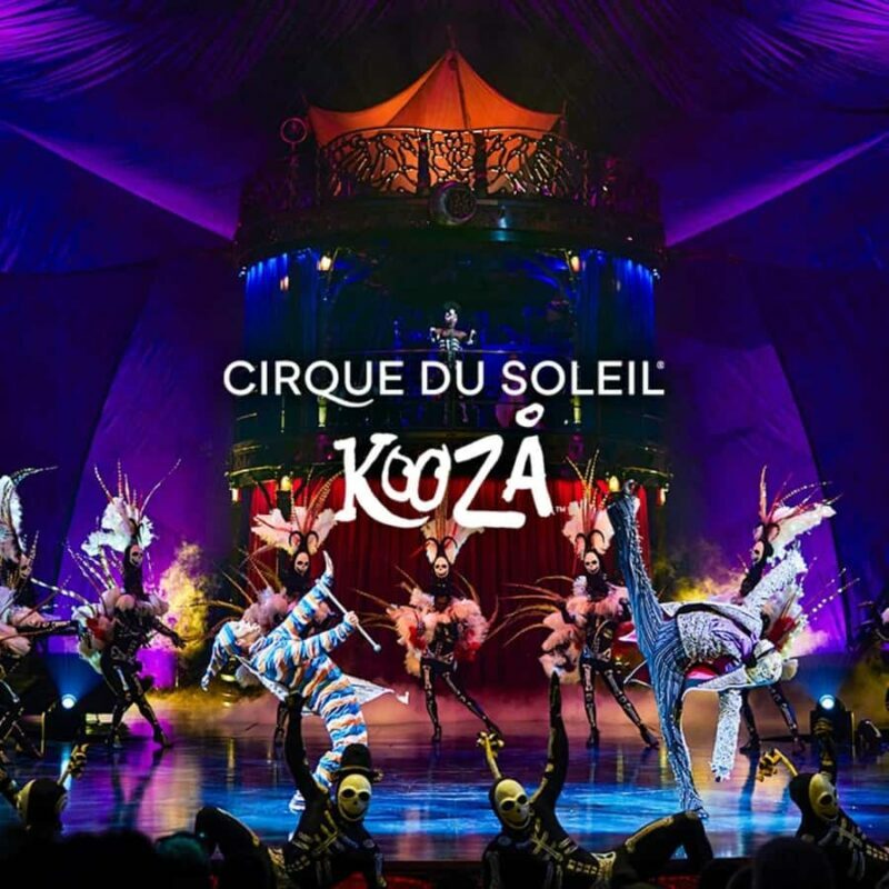 Cirque du Soleil KOOZA Show Ticket - The Venue and Accessibility