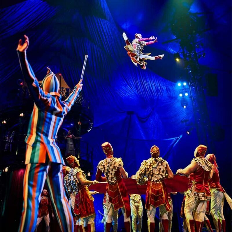 Cirque du Soleil KOOZA Show Ticket - Authentic Perspectives from Reviewers