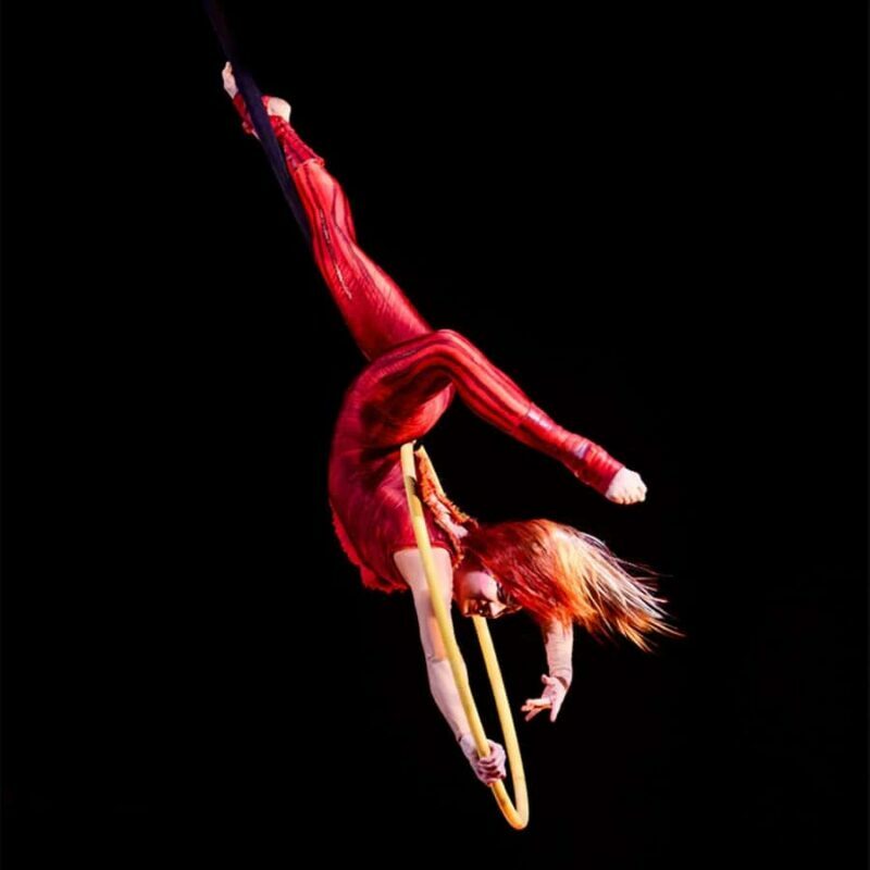 Cirque du Soleil KOOZA Show Ticket - The Sum Up