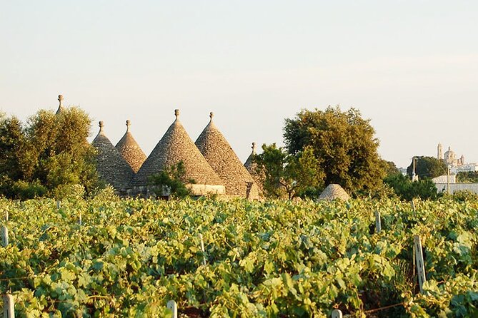 Cisternino E-Bike Tour. Visit a Winery and an Oil Mill - Cancellation Policy