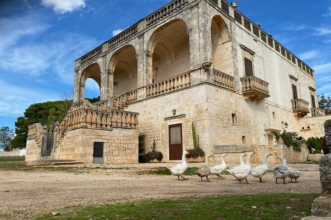 Cisternino E-Bike Tour. Visit a Winery and an Oil Mill - About the Tour