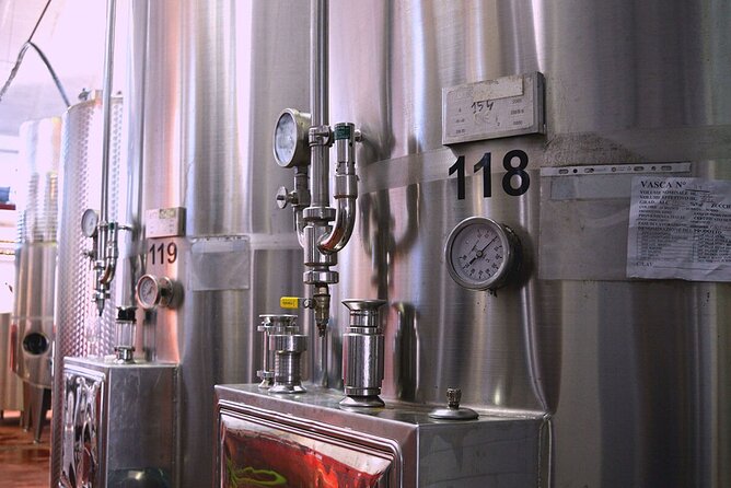 Cisternino E-Bike Tour. Visit a Winery and an Oil Mill - Accessibility and Transportation