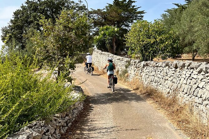 Cisternino E-Bike Tour. Visit a Winery and an Oil Mill - Frequently Asked Questions