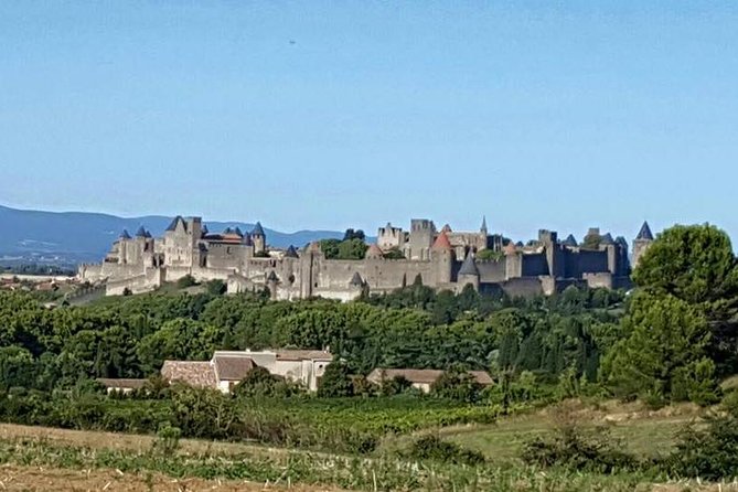 Cité De Carcassonne and Canal Du Midi Private Half Day Tour From Toulouse - Inclusions and Pickup
