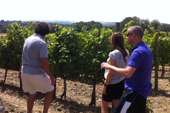 Cité De Carcassonne and Wine Tasting Private Day Tour From Toulouse - Departure and Pick-up Details