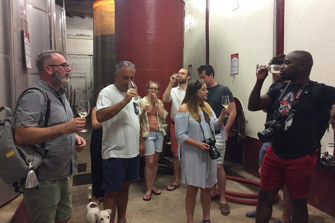 Cité De Carcassonne and Wine Tasting Private Day Tour From Toulouse - Exploration of the Canal Du Midi