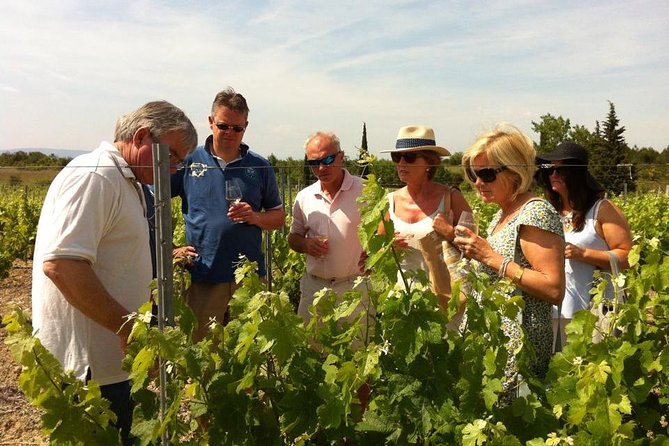 Cité De Carcassonne and Wine Tasting Private Day Tour From Toulouse - Highlights of the Medieval Village