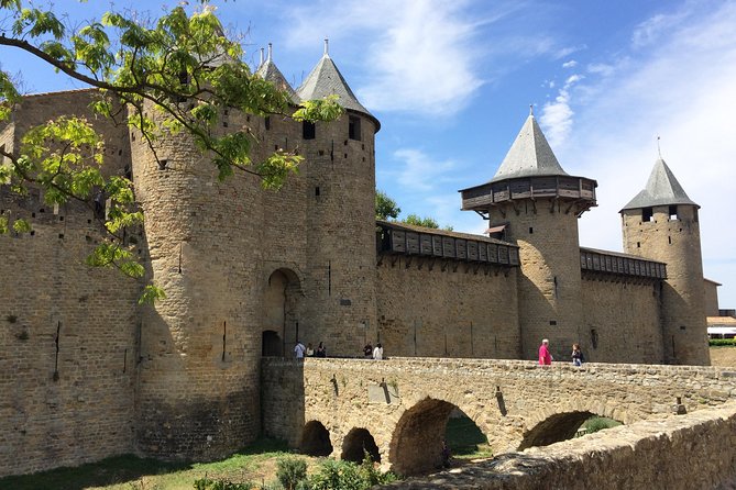 Cité De Carcassonne and Wine Tasting Private Day Tour From Toulouse - Interactive Wine Tasting Experience