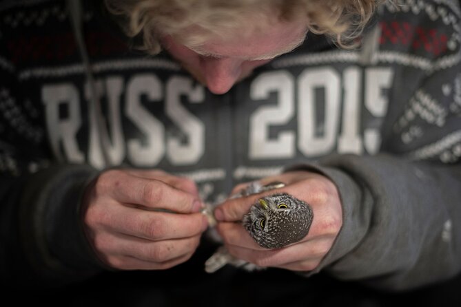 Citizen Science Monitor Owls in the Wilderness Near Tromsø - Health and Safety Considerations