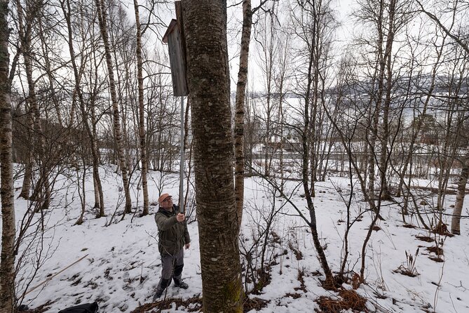 Citizen Science Monitor Owls in the Wilderness Near Tromsø - Booking and Confirmation Process