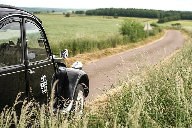 Citroën 2CV Burgundy Rental and Tasting at the Château De Pommard - Wine Tasting at Château De Pommard