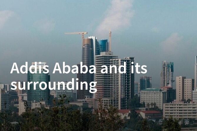 City/Airport Transfers-Addis Ababa - Host Responses