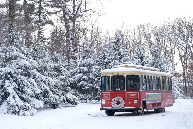 City and History Trolley Tour in Wisconsin Dells - Guest Reviews