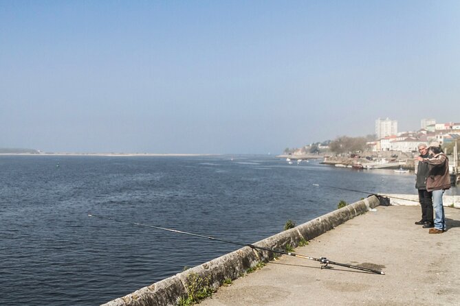 City Bike Rental in Porto - Included in the Rental