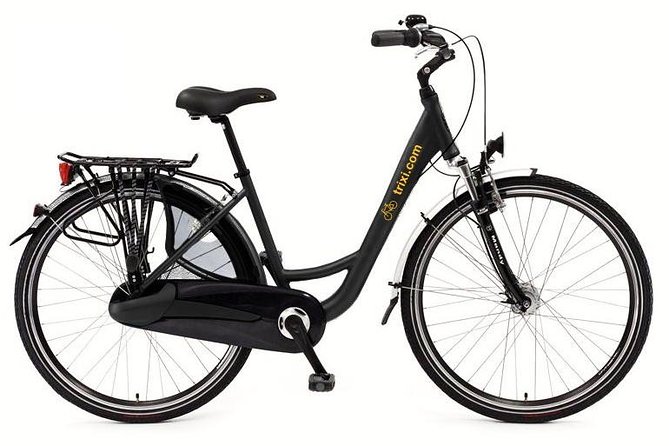 City Bike Rental With Phone Holder and Self Guided Tour - Accessibility and Recommendations