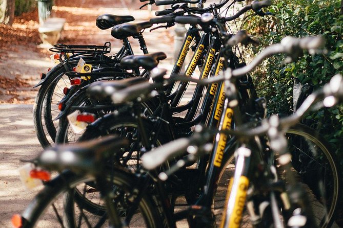 City Bike Rental With Phone Holder and Self Guided Tour - Unique Aspects of the Experience