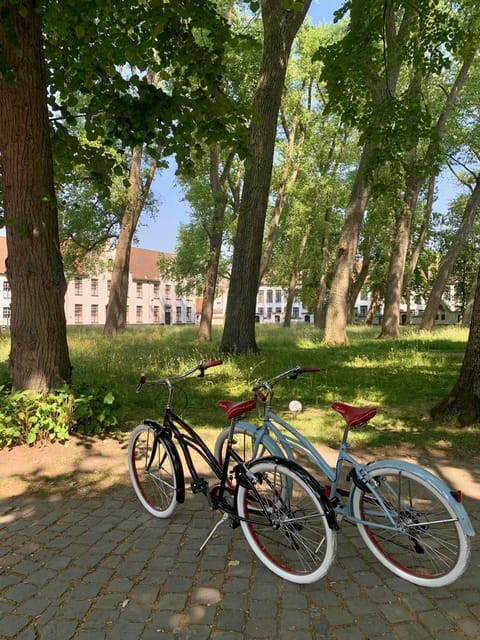City Bike Tours - Experience Highlights