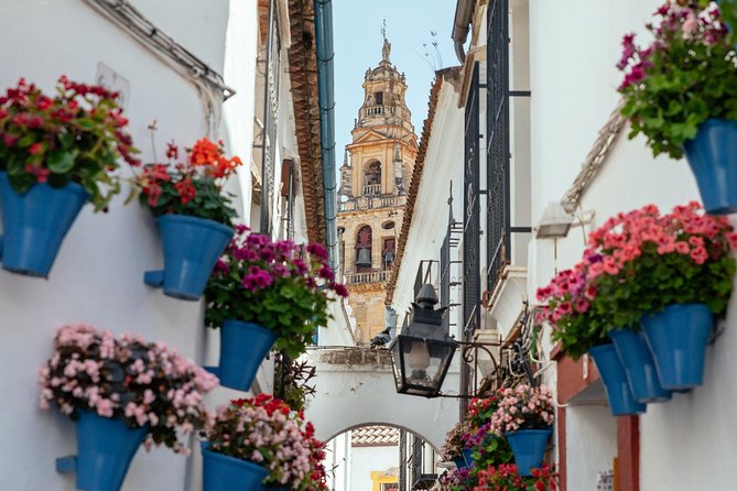 City Discovery: Carmona & Cordoba Private Day Trip - Inclusions and Exclusions