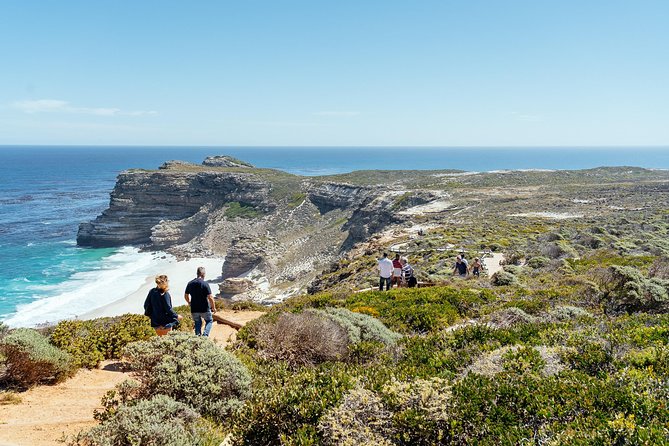 City Escape: Cape Peninsula Private Day Trip - Local Culture and Stories