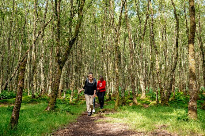 City Escape: Glendalough & Kilkenny Private Day Trip - Booking Information