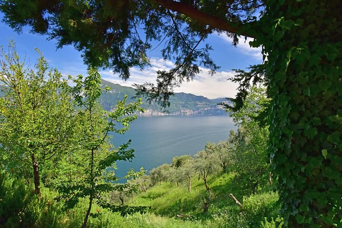 City Escape: Lake Garda Private Day Trip From Verona - Logistics and Inclusions