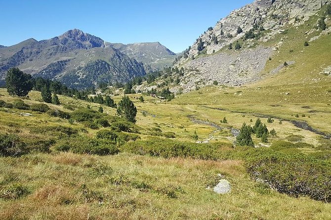 City Escape With Locals: Andorra PRIVATE Day Trip by PRIVATE Car - Customer Feedback